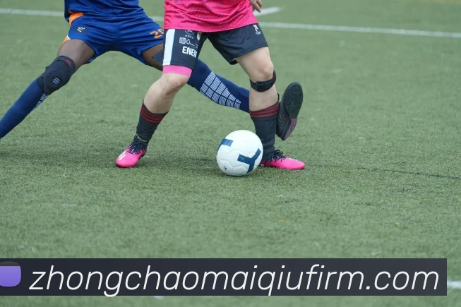 多媒体互动体验